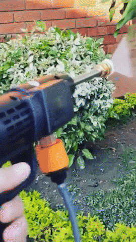 gif2